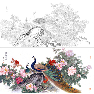 陈军横幅工笔画白描底稿牡丹孔雀工笔画花鸟临摹勾线线稿打印稿