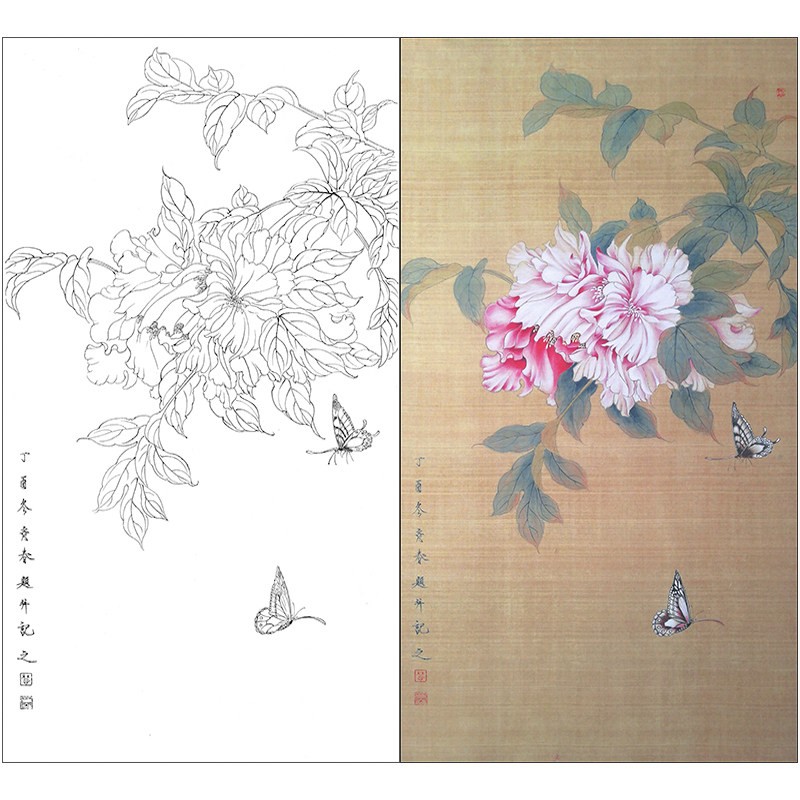 tp357工笔画芙蓉蝴蝶白描底稿国画花鸟临摹练习线描画实物打印稿