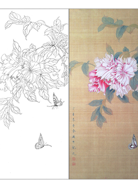 TP357工笔画芙蓉蝴蝶白描底稿国画花鸟临摹练习线描画实物打印稿