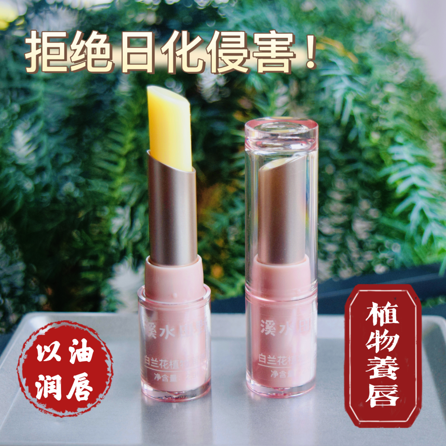 保湿进口白池花籽油润唇膏零添加