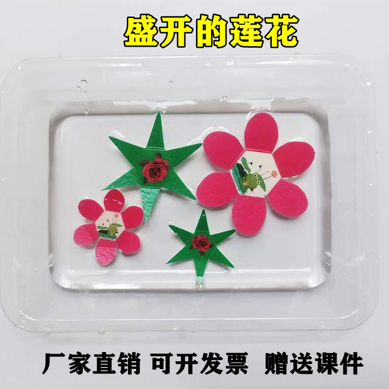 盛开的纸莲花毛细现象科学实验科技小制作表面张力diy玩教具手工