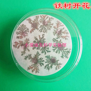 化学结晶实验材料儿童幼儿玩教具DIY科技小制作科学实验铁树开花