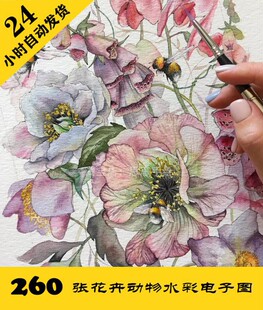 持续更 手绘植物临摹素材 W043 水彩线描花卉电子图260张