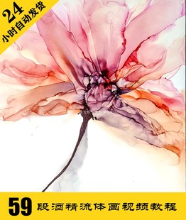 饰画 抽象画装 兴趣班课程 透明感酒精流体画视频教程59段 Y014