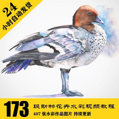 W071 动物花卉水彩中文字幕视频教程173段含电子图407张 自动发货