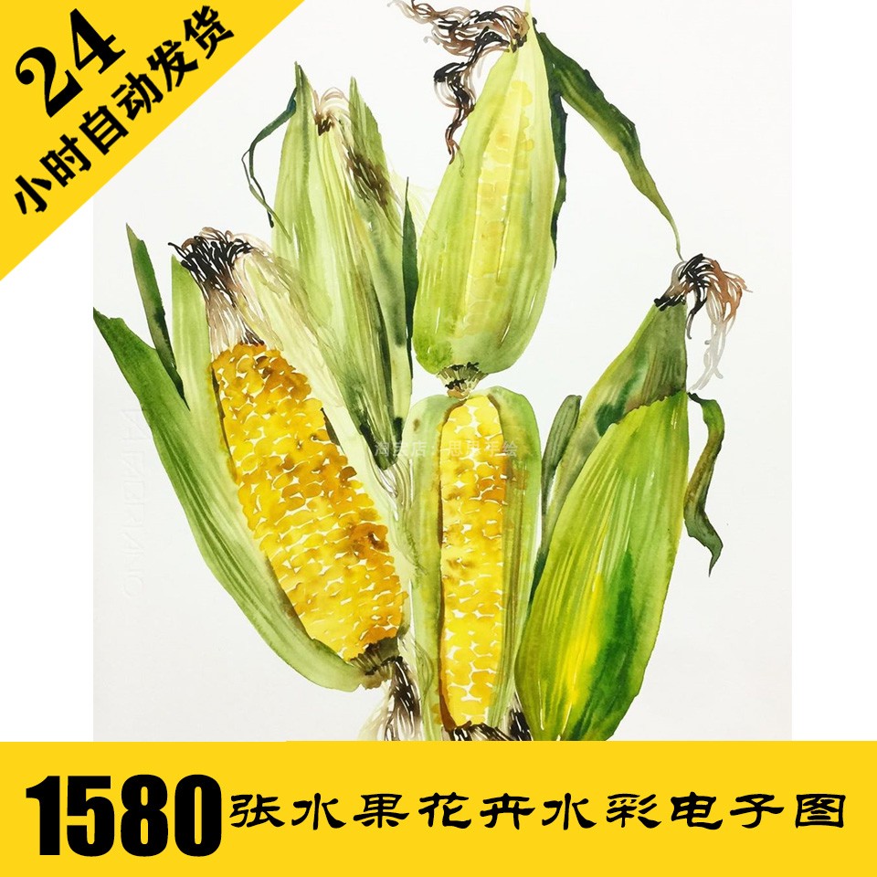 W053 水果花卉水彩电子图1580张 植物手绘插画素材 持续更新
