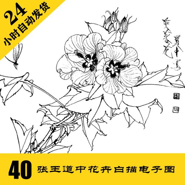 g027 王道中花卉白描 工笔线稿40张 花鸟线描国画 24小时自动发货