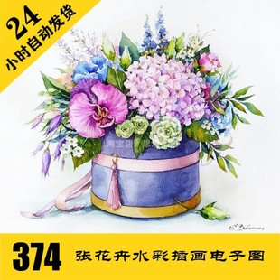 饰画临摹素材 手绘装 持续更新 水彩花卉插画电子图374张 W096