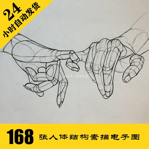 S026 人体结构素描电子图168张 人像速写 零基础手绘素材 持续更