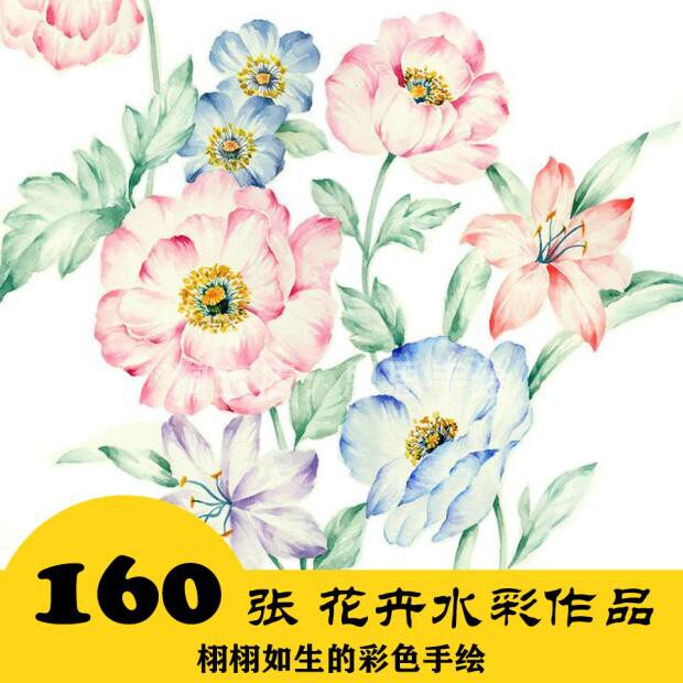 c008 栩栩如生的彩色手绘电子图160张 花卉植物水彩 24小时自动发