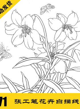 花卉工笔白描线描电子图640张