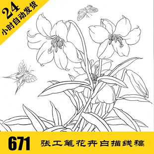 G001 花卉工笔白描线描电子图640张 可打印 国画临摹素材 自动发