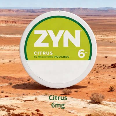 买5送1 美版薄荷味平替snus正品ZYN口含清新口气袋便携提神解戒瘾