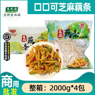 整箱口口可芝麻藕条香酥裹粉油炸干煸藕丝餐厅小吃半成品商用4包