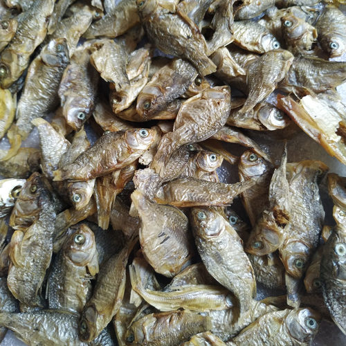 湖南500g水产干货小杂鱼