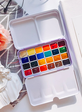 美国丹妮史密斯 DS 水彩颜料分装24色官配水彩大师级艺术家级