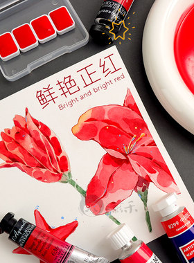 水彩颜料正红色申内利尔636 史明克大师级MG 鲁本斯299中国红分装