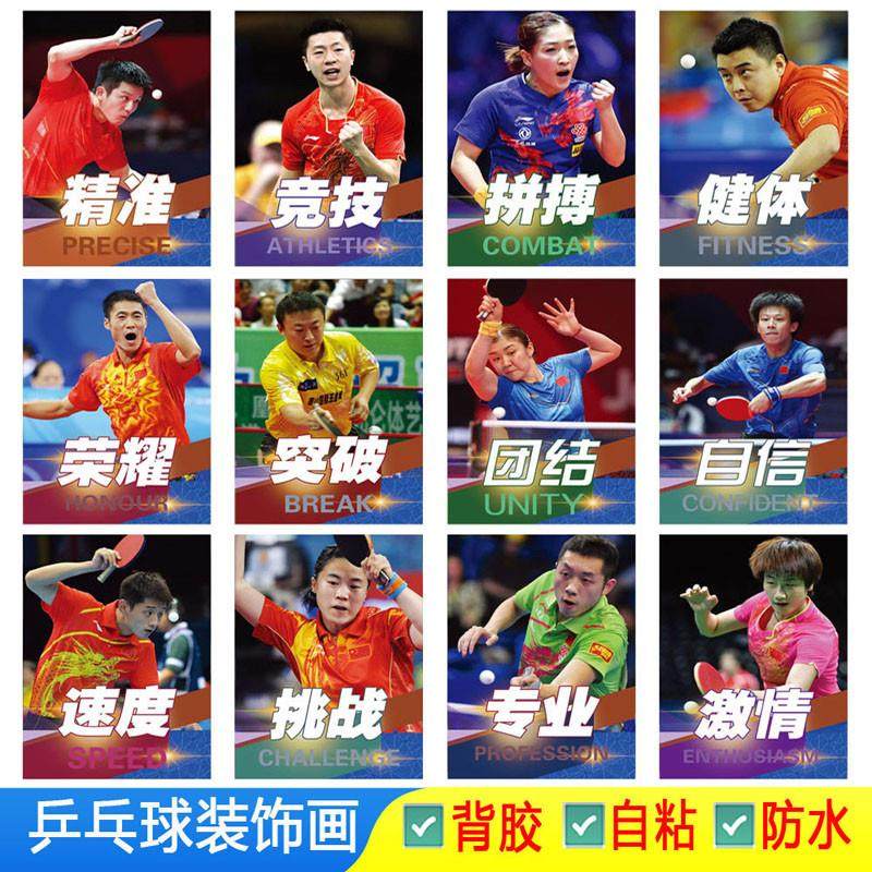 体育明星海报樊振东张继科怡宁丁宁乒乓球运动员图片体育会自粘画