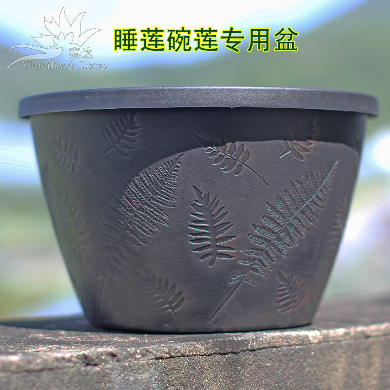 睡莲碗莲水培无孔专用树脂盆塑料古典仿铜树纹水缸阳台露台耐用盆