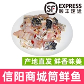 商城县筒鲜鱼夏记河南信阳特产鲇鱼山水库桶鲜鱼胖头鱼顺丰 包邮