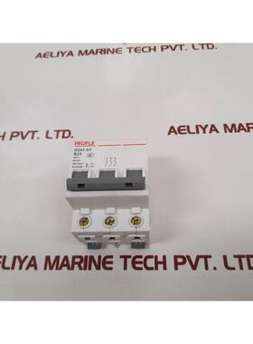 原装供应人民DZ47-63分离器6000A GB10963.1