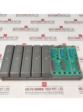 原装供应费舍尔-罗斯蒙特 12P0818X072 8 Ampio Trasporto Con Pr