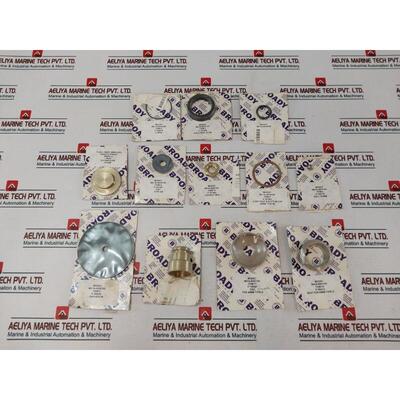 原装供应Broady P-109007 Broady Controllo Flusso 套件
