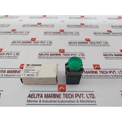 原装供应Telemecanique XB2-BV1245 LED 24-240V
