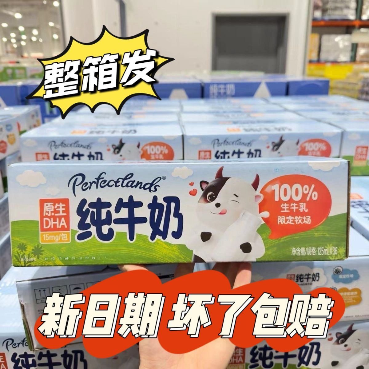 开市客Costco代购 帕菲兰原生DHA纯牛奶125ml 100%生牛乳限定牧场