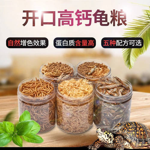 中小大乌龟专中小大乌龟专