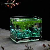 奇艺玻璃鱼缸一体缸迷你长方形鱼缸一次成型桌面小鱼缸斗鱼缸加厚