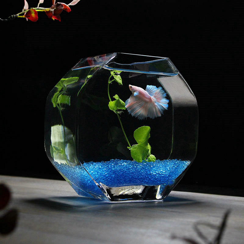 斗鱼缸加厚高白玻璃个性鱼缸大号创意鱼缸金鱼缸玻璃花瓶家居装饰