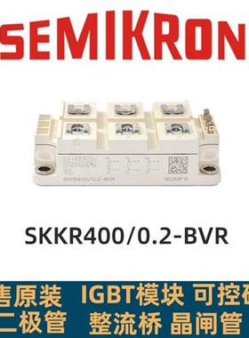 SKKR200/0.2-BVRS SKKR300/0.2-BVRS SKKR400/0.2-BVR全新原装