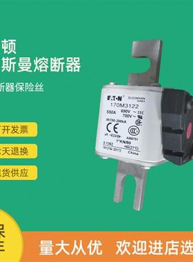 全新快速熔断器保险170M3119 170M3120 170M3121 170M3122
