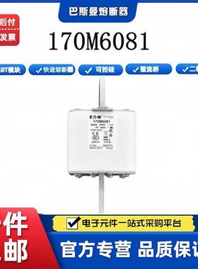 巴斯曼熔断器 170M6081 170M6144 170M6083 170M6085 全新