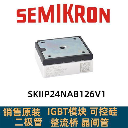 SKIIP23NAB126V10 SKIIP24NAB126V1 24NAB12T4V1 SKIIP25AC126V1