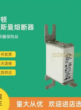 全新快速熔断器保险170M1485 170M1487 170M1488 170M1508