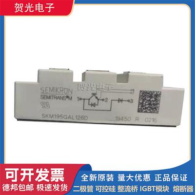 全新SKM195GAL126D/SKM200GAL128D/SKM300GB128D西门康IGBT模块