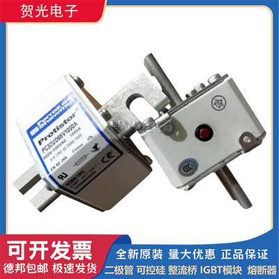 法国罗兰PC30UD69V100TF T300052 PC30UD69V125TF V300053熔断器
