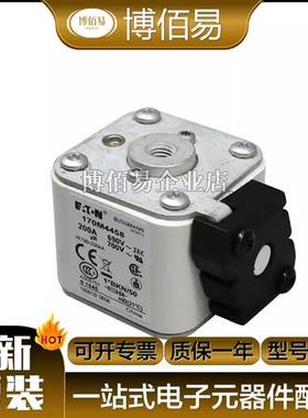 170M7123 /170M7124/170M7125/170M7126 /170M3951/1703952熔断器