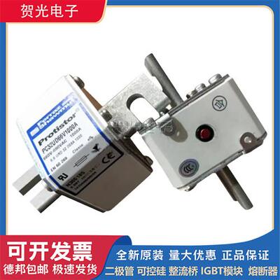 法国罗兰PC30UD69V100TF T300052 PC30UD69V125TF V300053熔断器