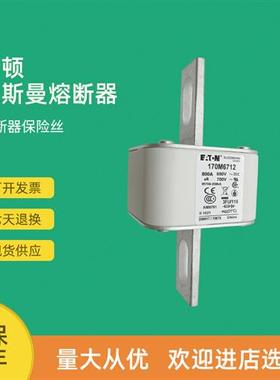 全新快速熔断器保险170M6211 170M6212 170M6213 170M6214