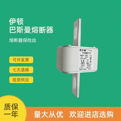 全新快速熔断器保险170M6211 170M6212 170M6213 170M6214