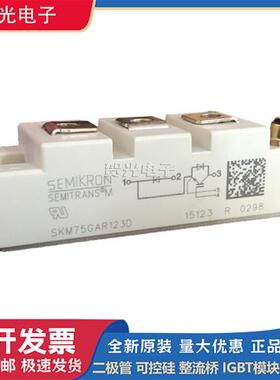 全新可控硅模块SKM75GAR123D功率二极管模块IGBT
