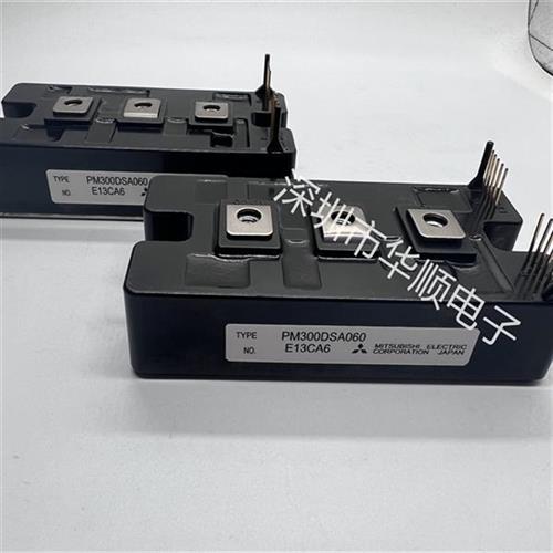 PM300DSA060 PM300CVA060 PM400DSA060 PM200DSA060