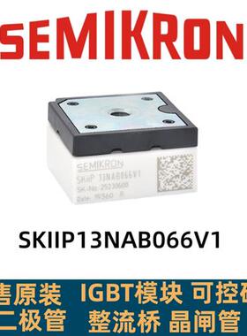 SKIIP13NAB066V1 SKIIP13NAB065V1 SKIIP14NAB066V1原装IGBT模块
