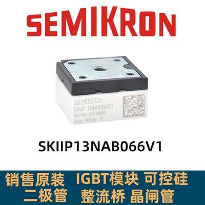SKIIP13NAB066V1 SKIIP13NAB065V1 SKIIP14NAB066V1原装IGBT模块
