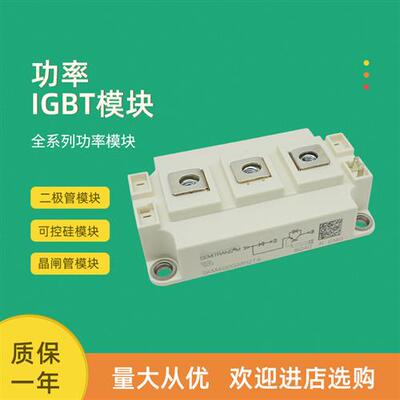 全新功率IGBT模块SKM100GAR17E4 SKM200GAR17E4 SKM400GAR17E4