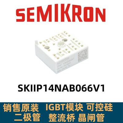 SKIIP13NAB065V1 SKIIP11NAB066V1 SKiiP14NAB066V1 12NAB126V1