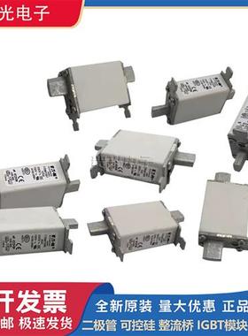 50NHG1B 63NHG1B 80NHG1B 100NHG1B全新熔断器现货